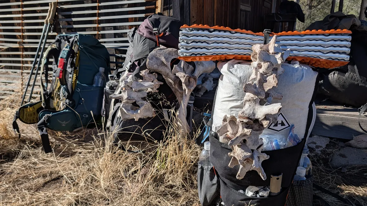 PXL_20251129_165056235