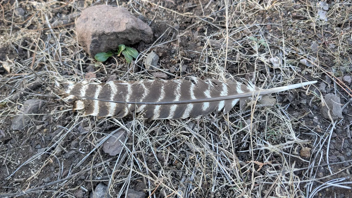 PXL_20251129_211331795