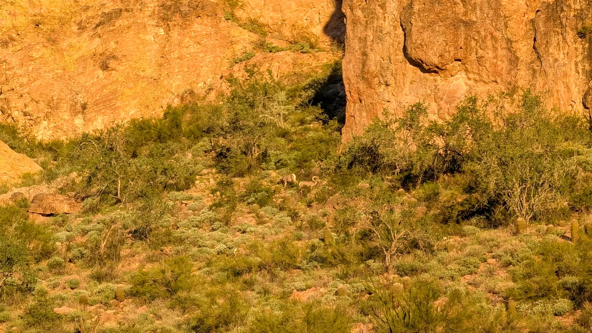 PXL_20251206_144032243