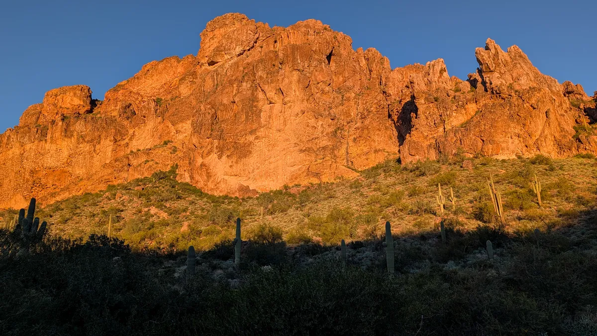 PXL_20251206_144236064