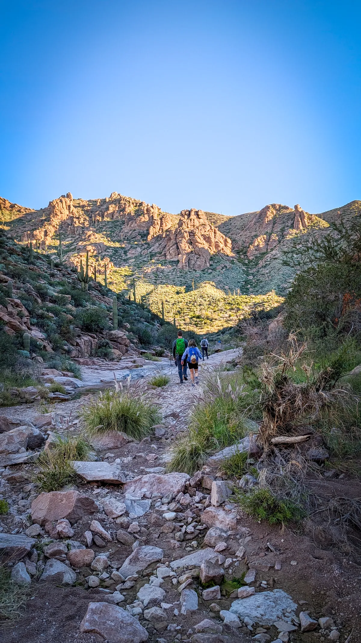 PXL_20251206_154636126