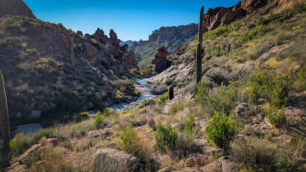 PXL_20251206_162007516