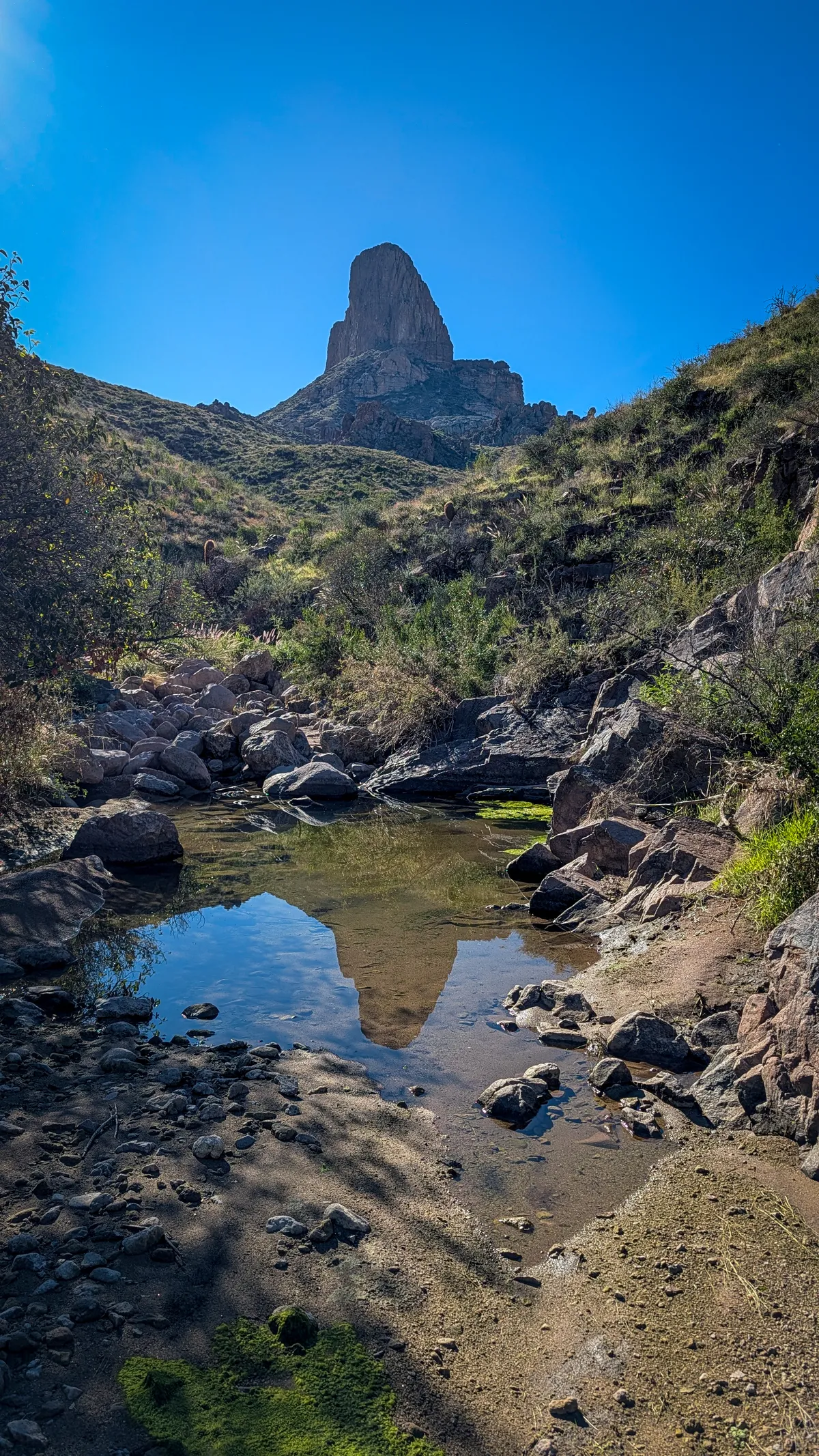 PXL_20251206_175420643