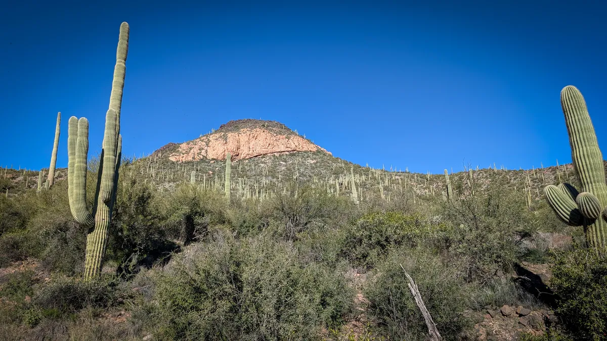 PXL_20251206_181215763