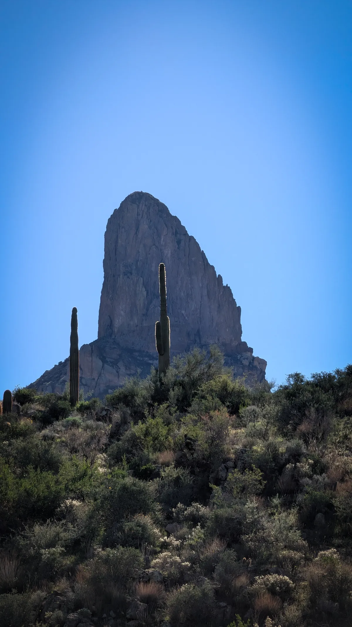 PXL_20251206_182055923