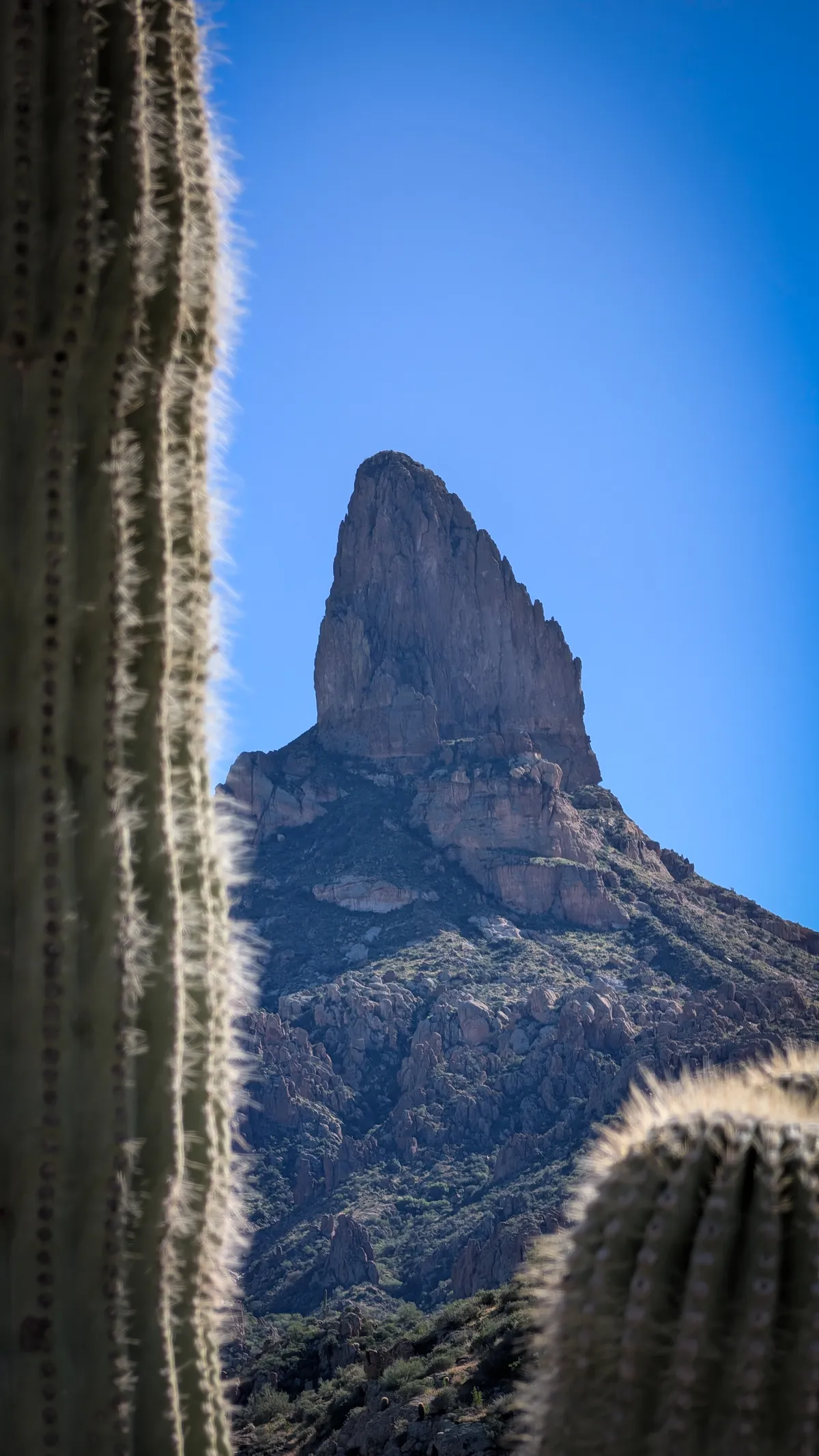 PXL_20251206_192712916