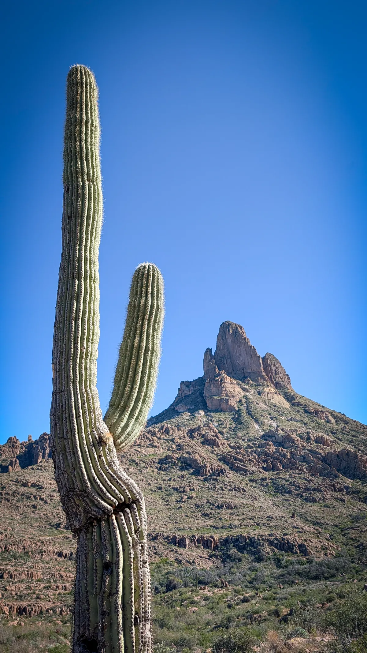 PXL_20251206_195503041