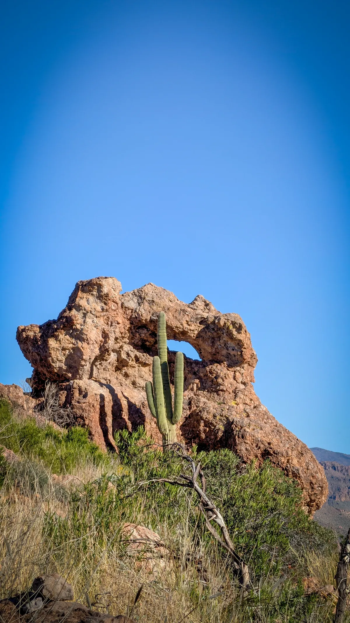 PXL_20251206_214310534