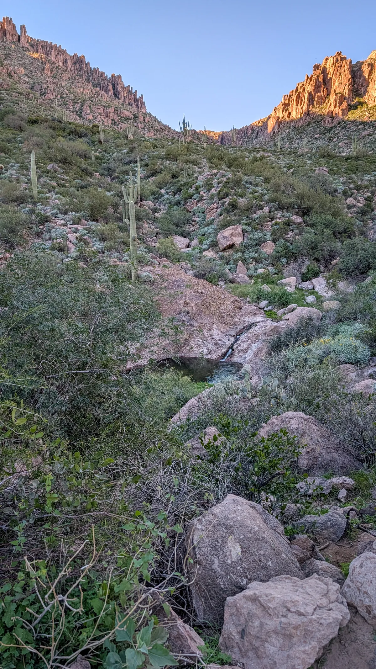 PXL_20251206_223250227