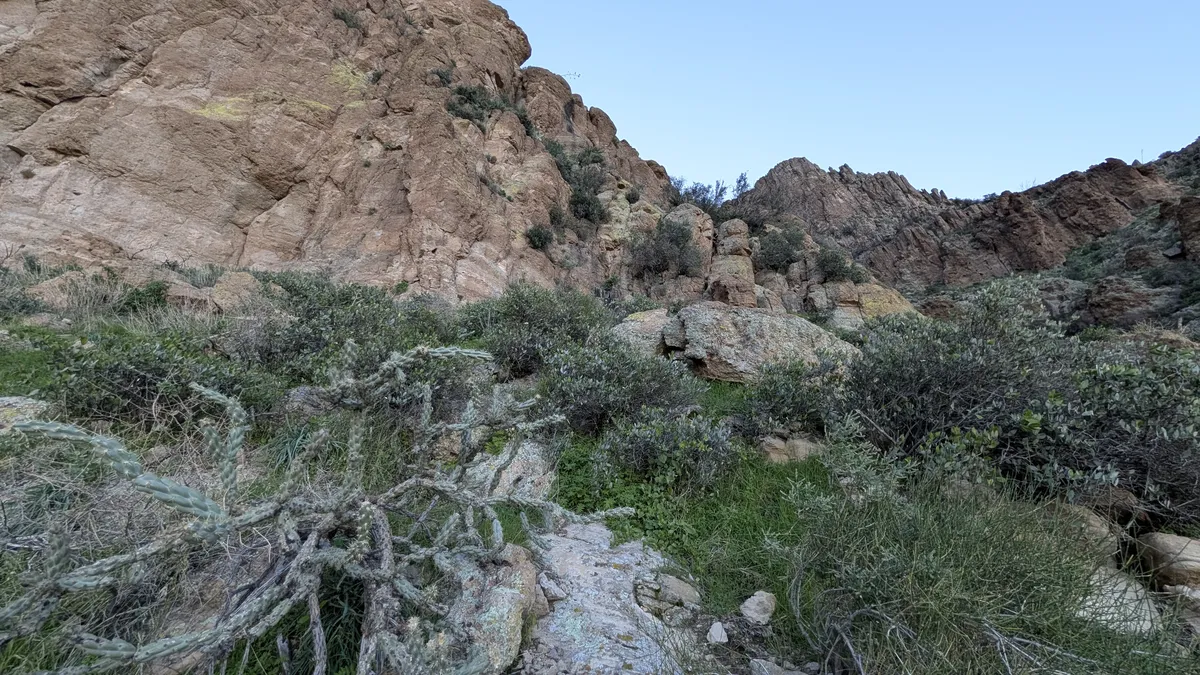 PXL_20251207_153139379