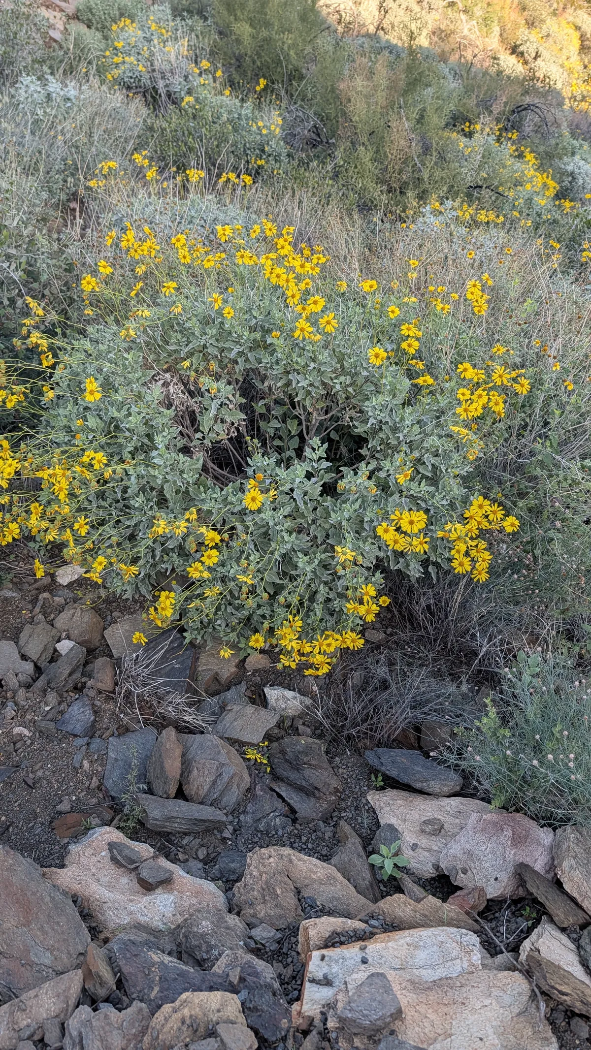 PXL_20251226_160825765