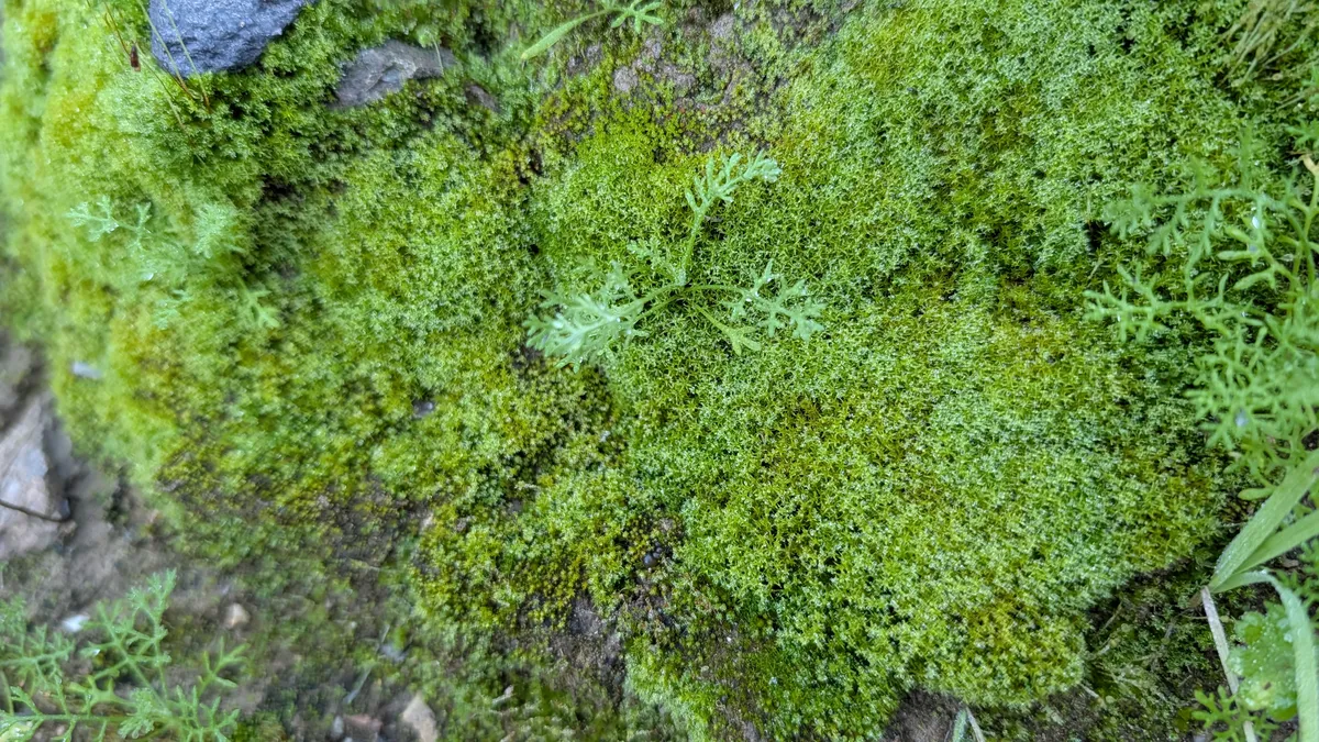 PXL_20251226_162946010