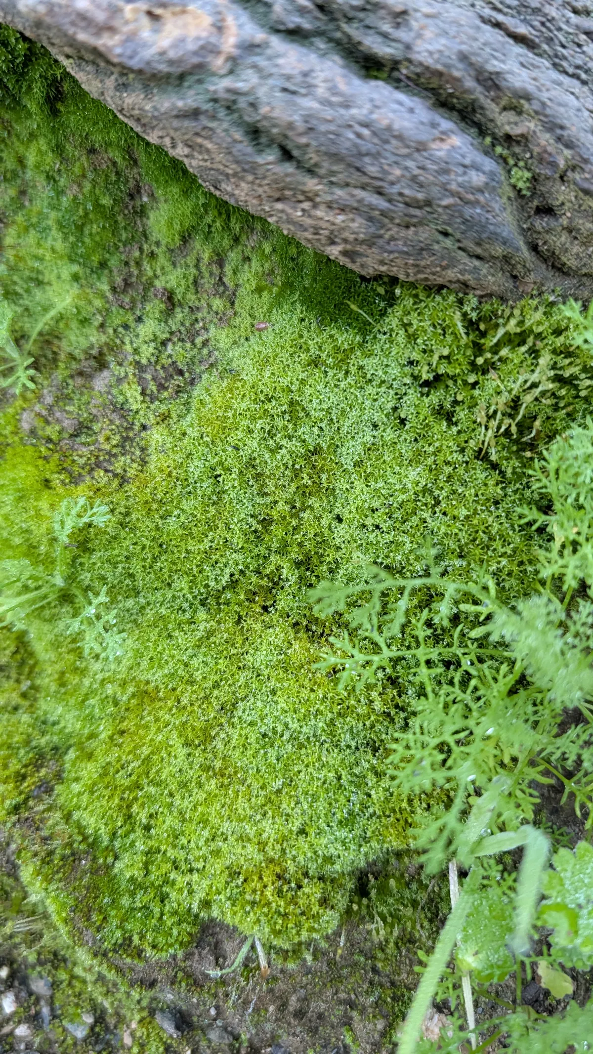 PXL_20251226_162948744