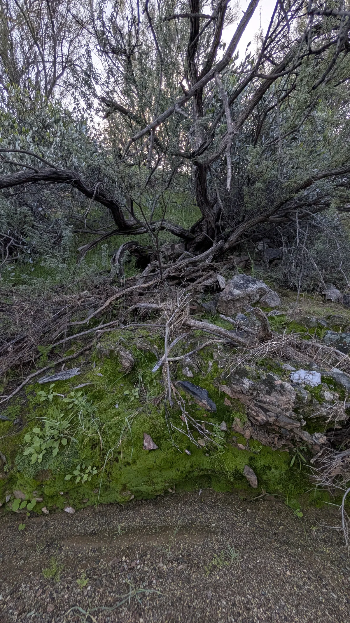 PXL_20251226_163012530