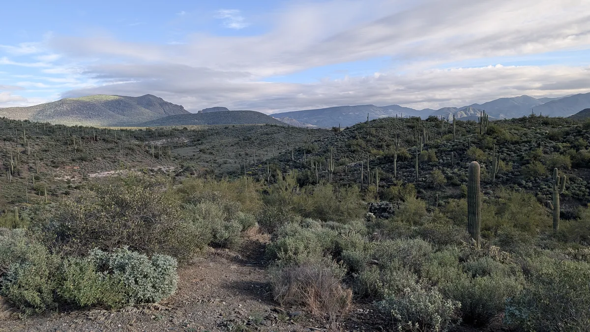 PXL_20251226_163355206