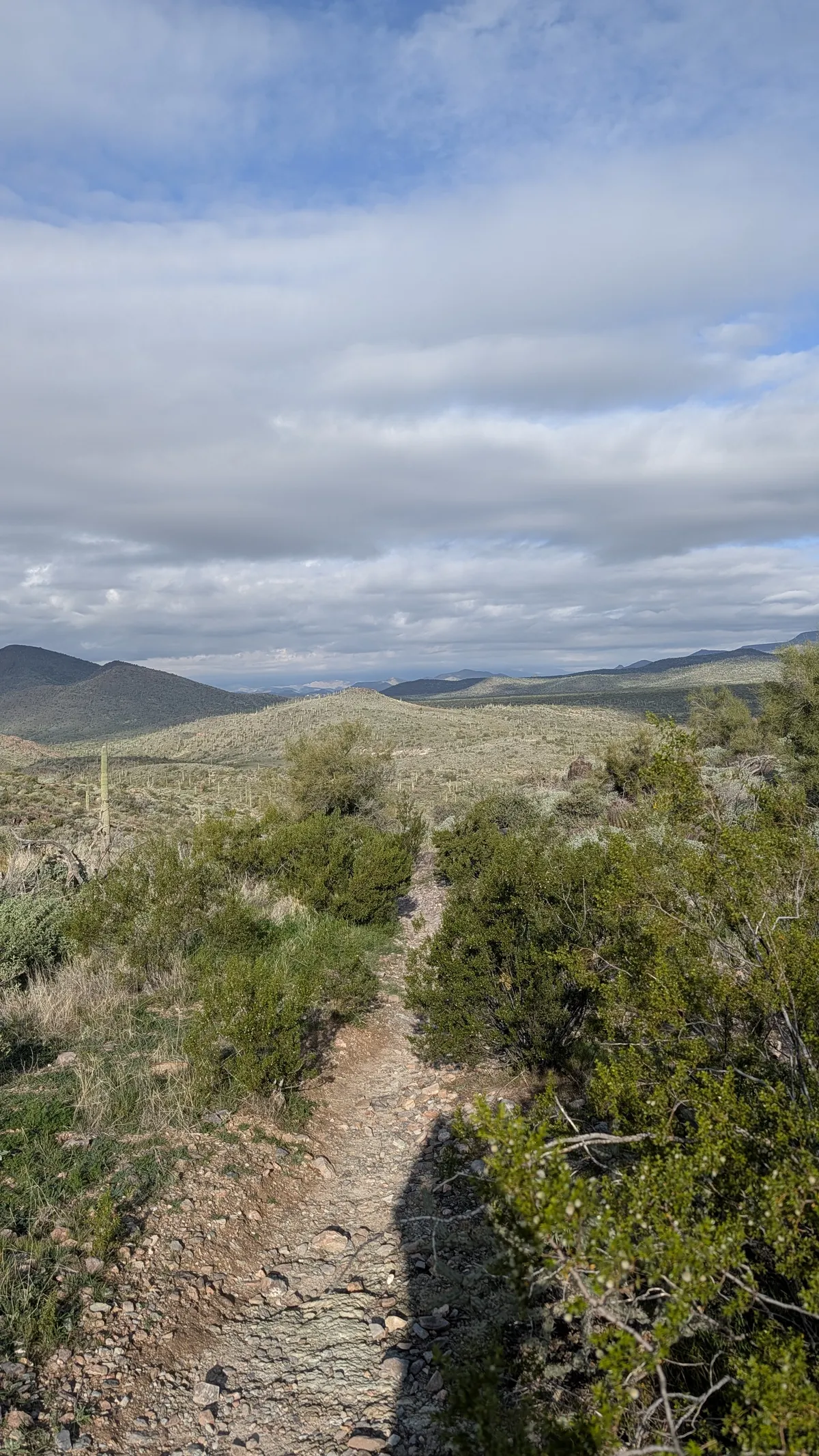 PXL_20251226_165649712