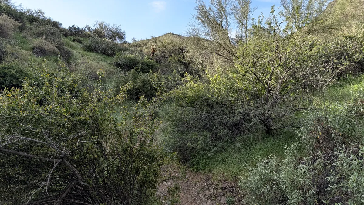 PXL_20251226_170622871