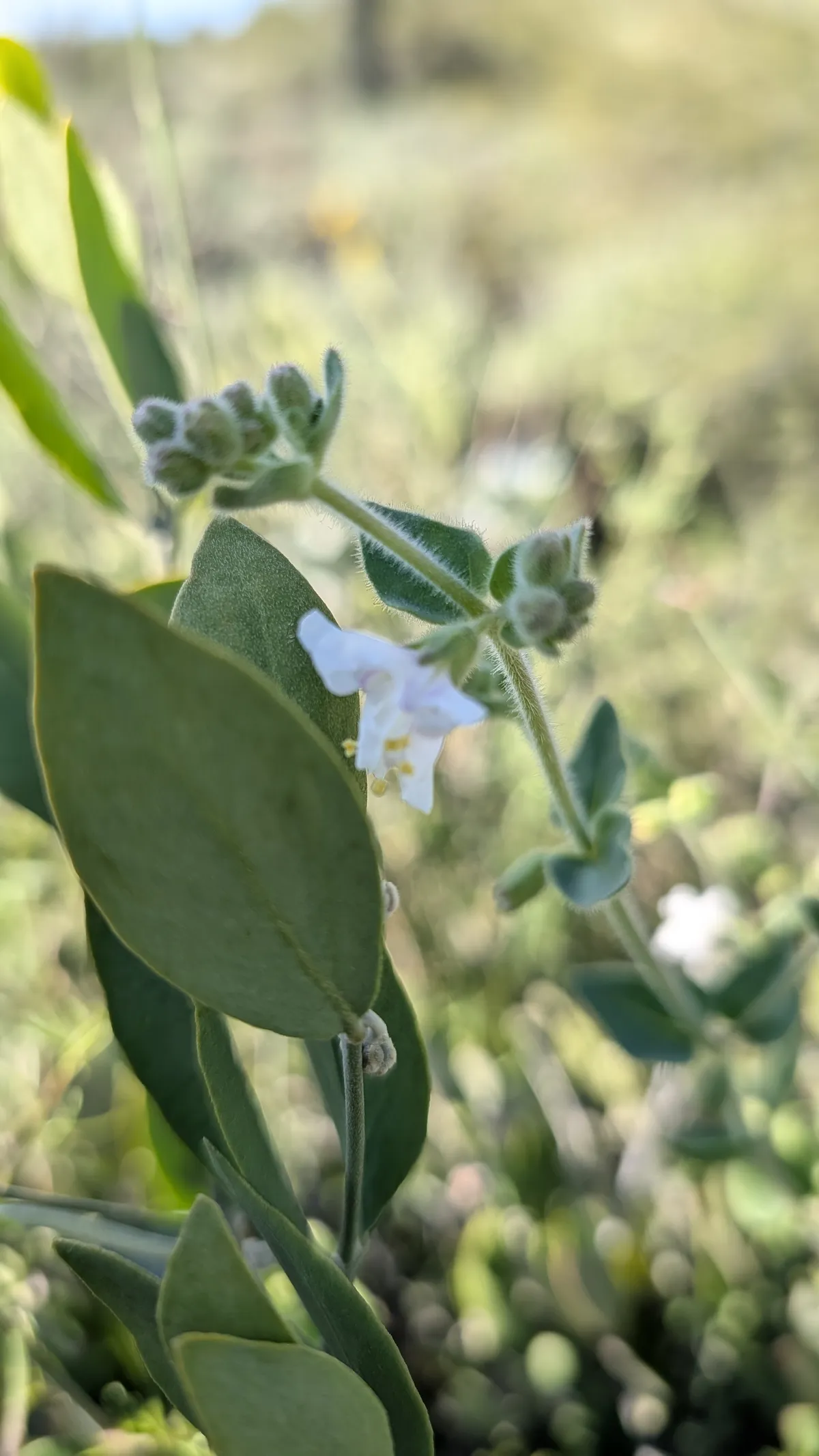 PXL_20251226_172028859