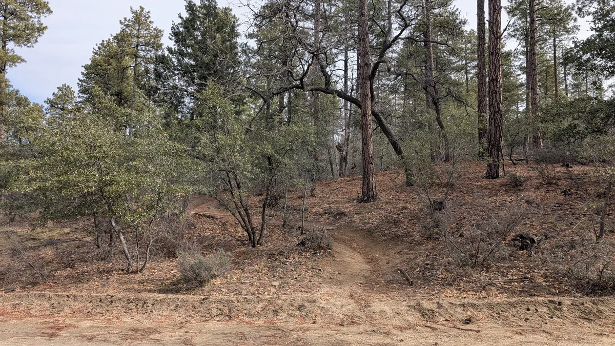 PXL_20251228_184936113