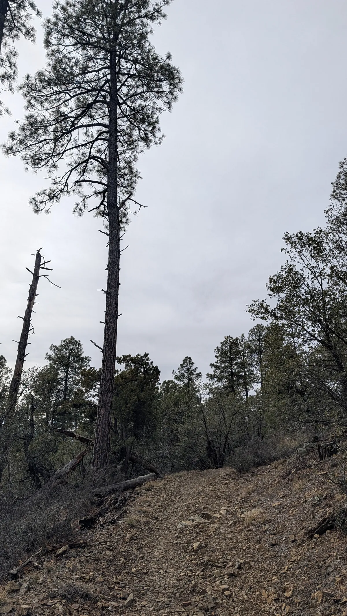 PXL_20251228_193012791