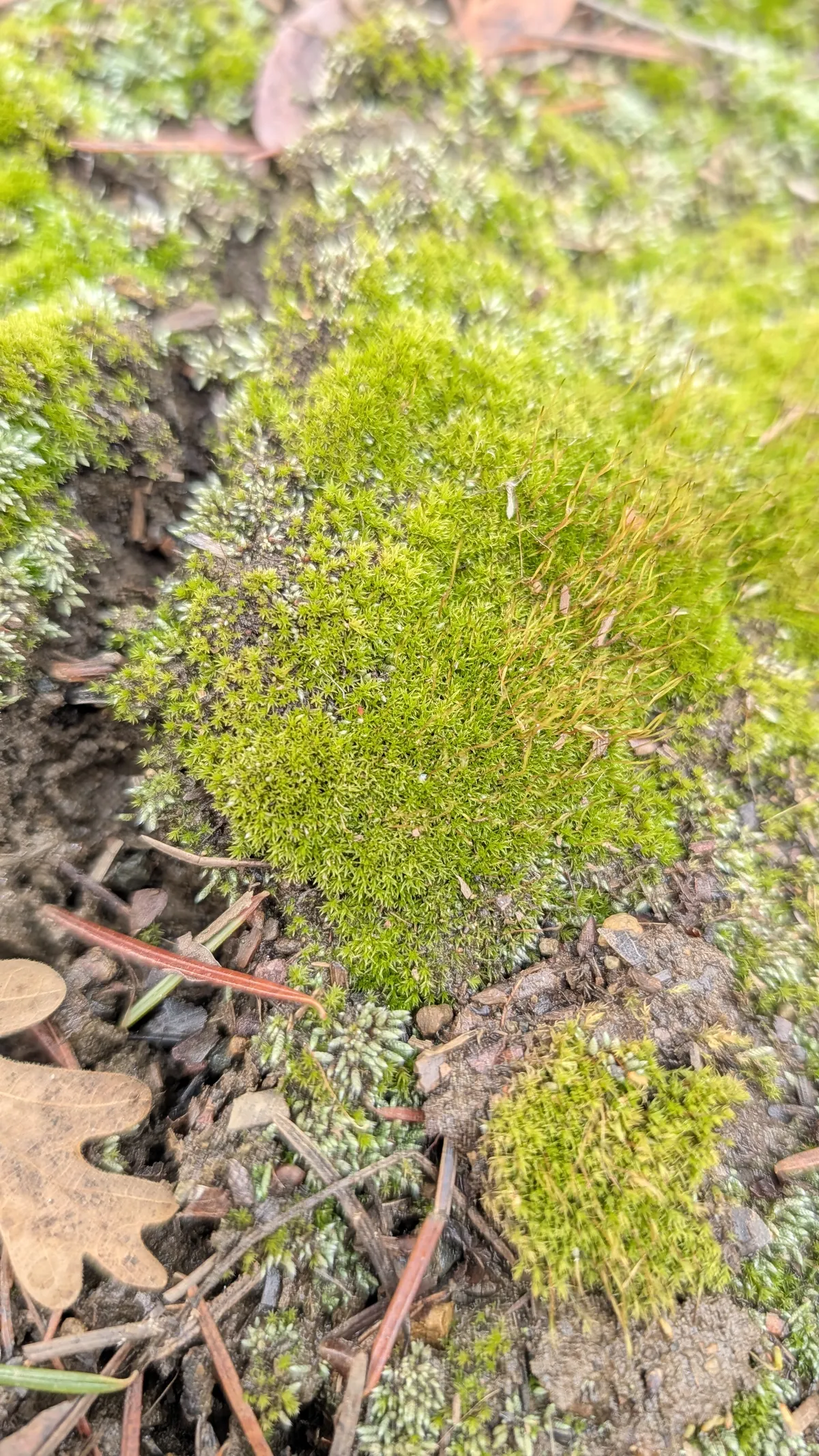 PXL_20251228_193125957