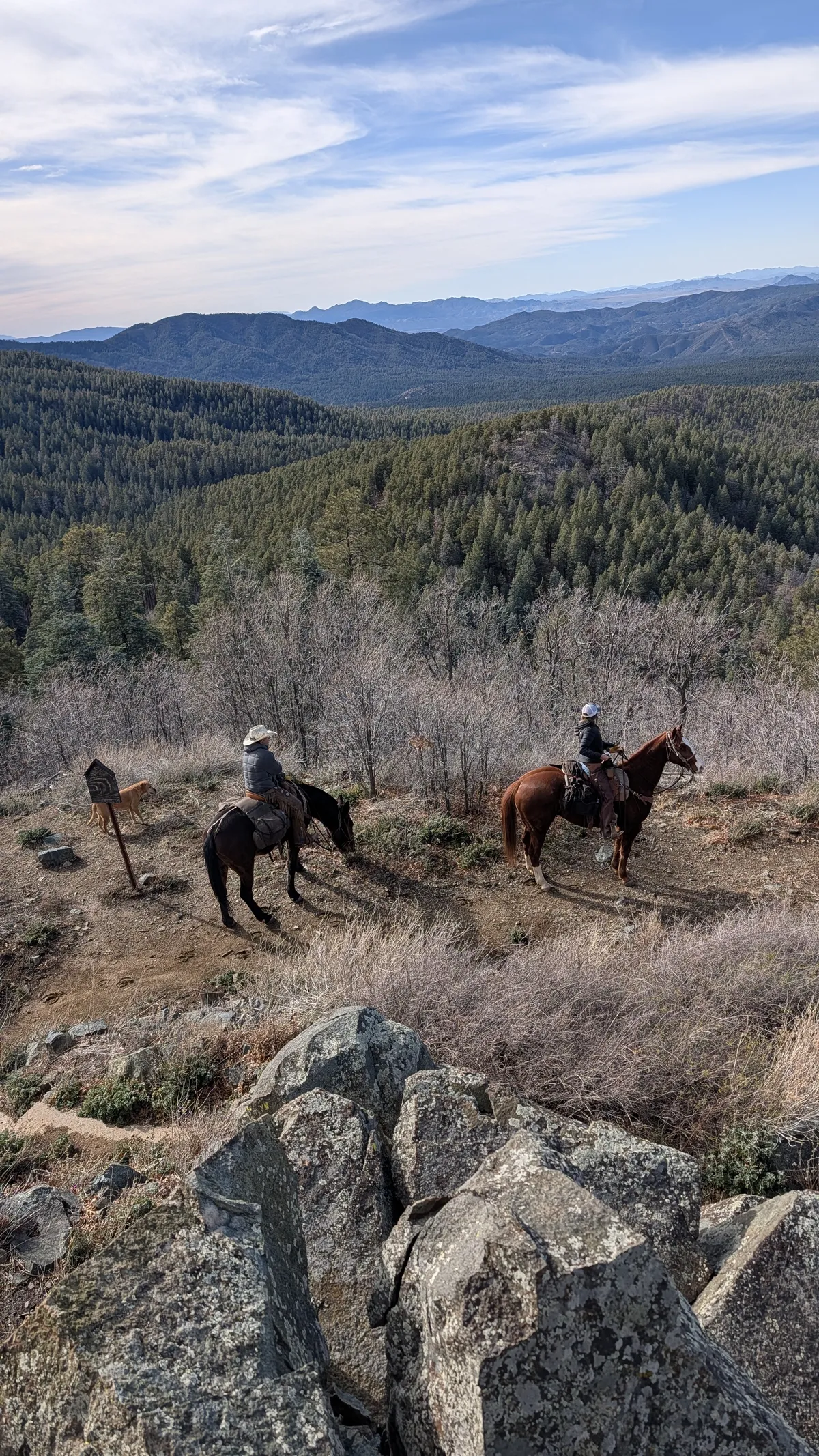 PXL_20251228_203224719