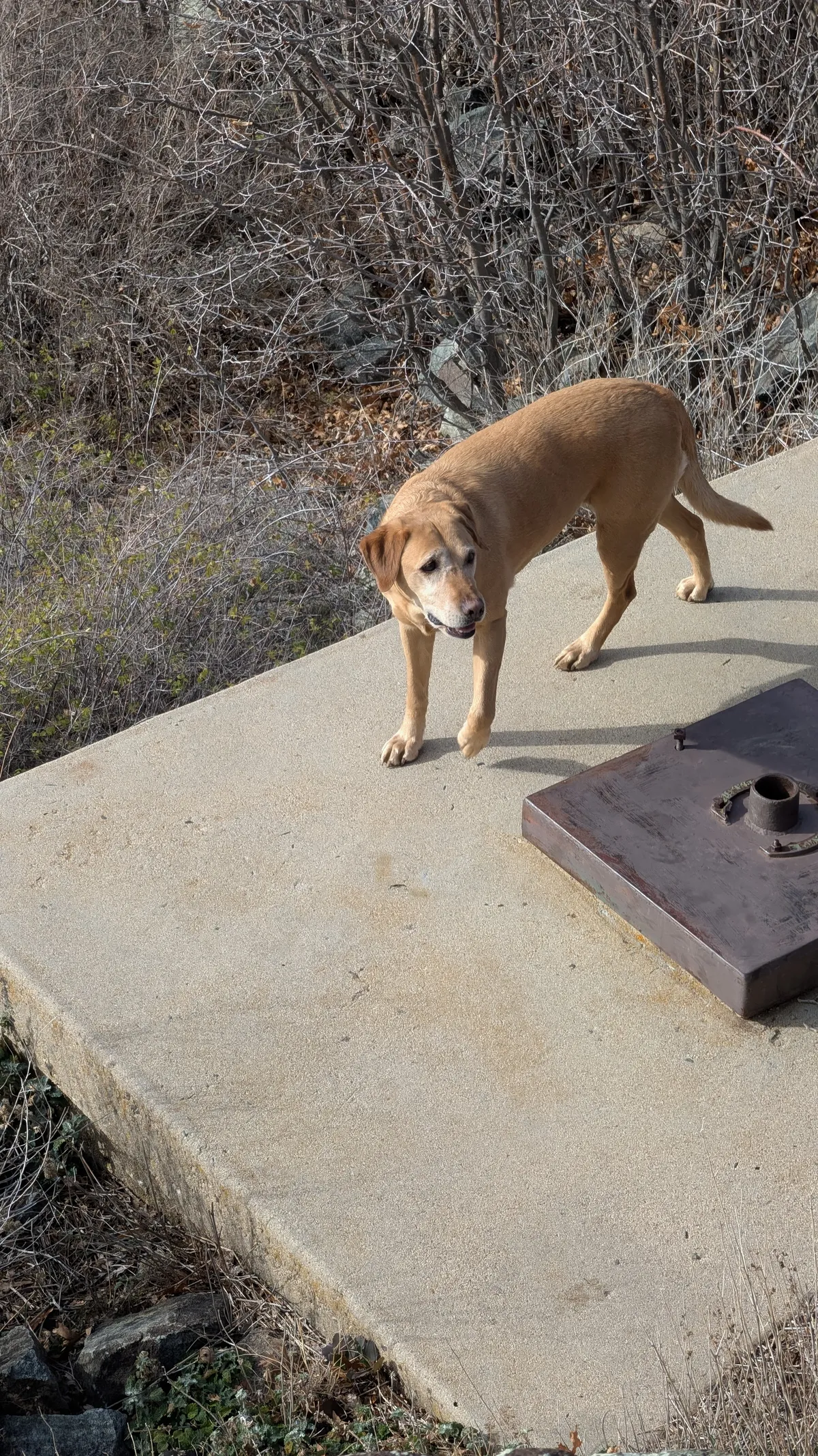 PXL_20251228_203527655