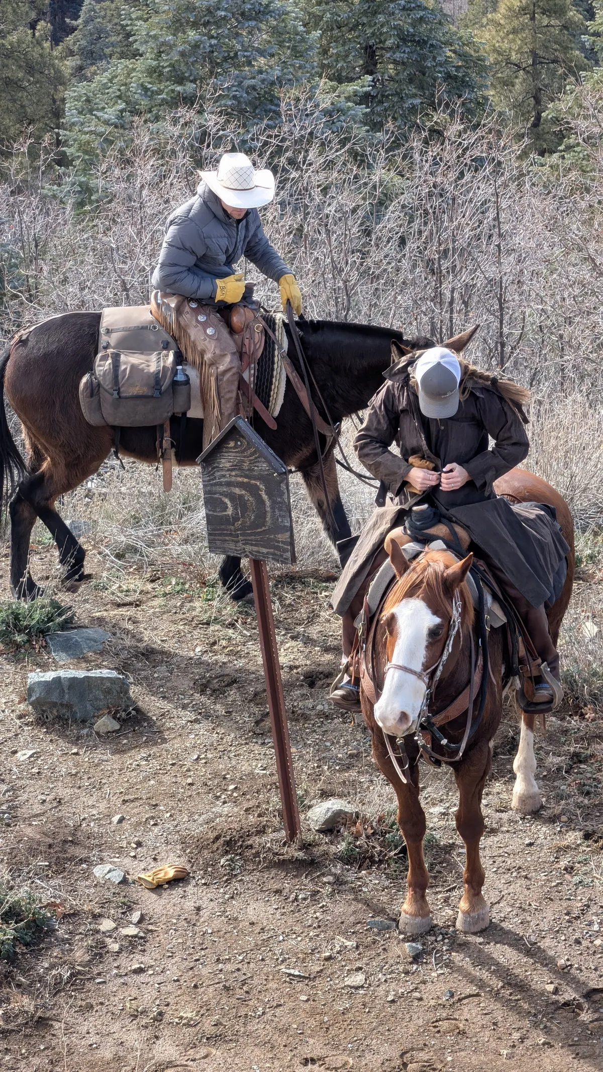 PXL_20251228_203532584