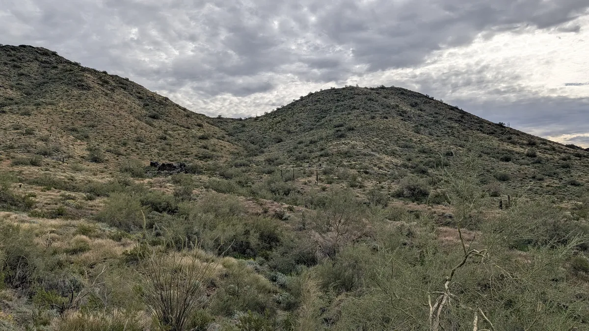 PXL_20260103_181320457