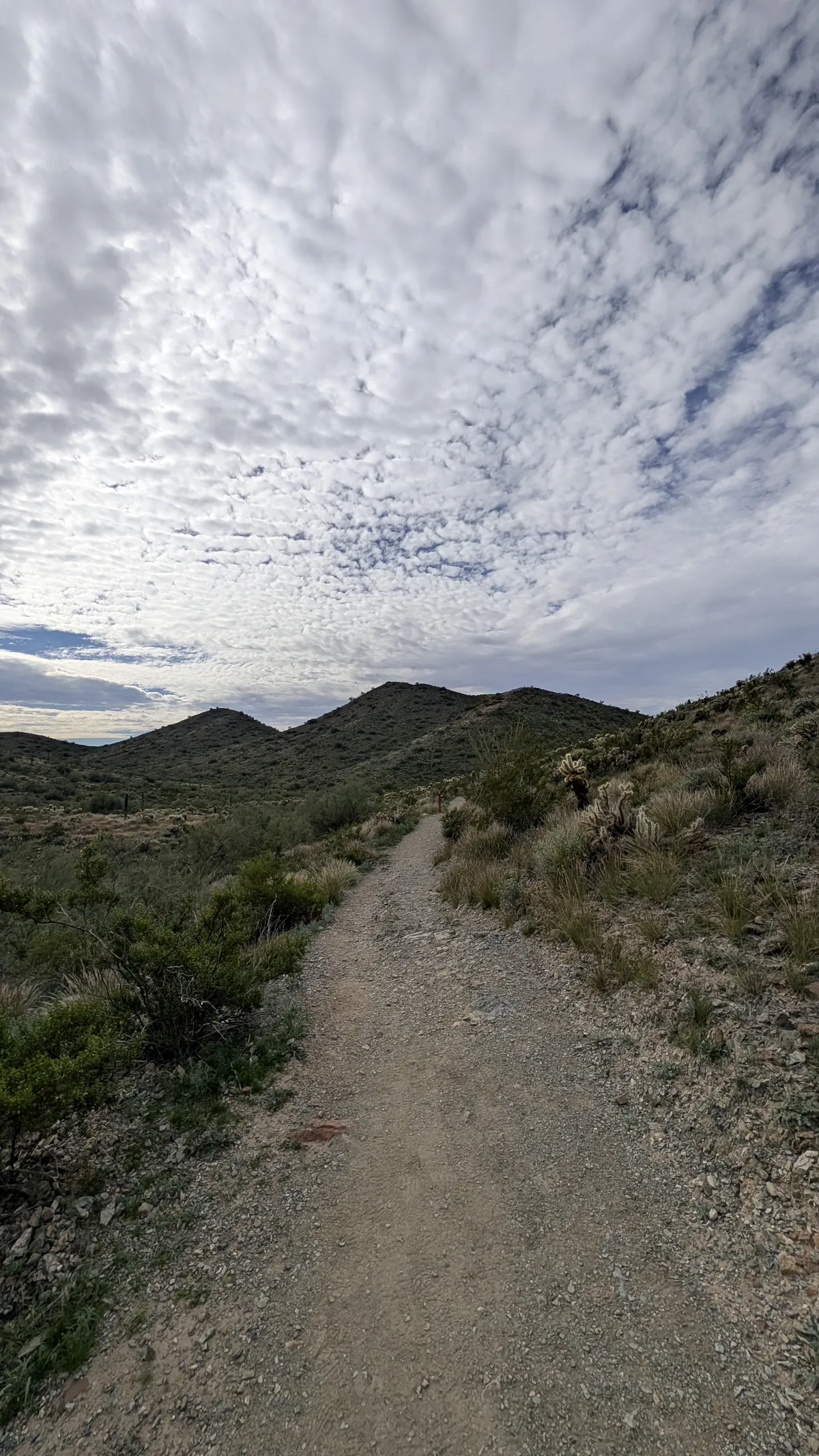 PXL_20260103_181324223