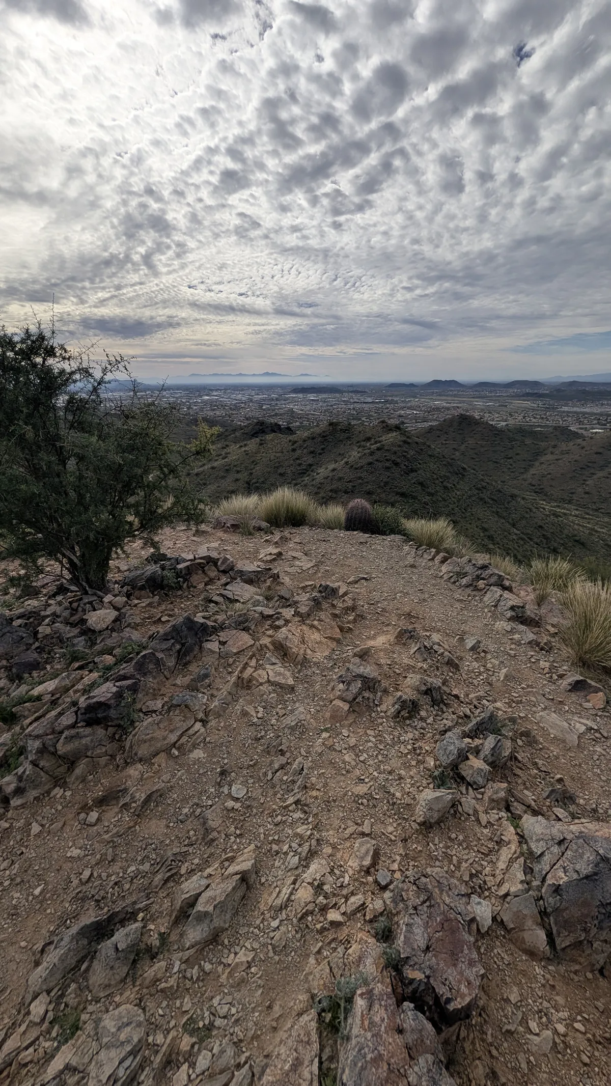 PXL_20260103_192758235