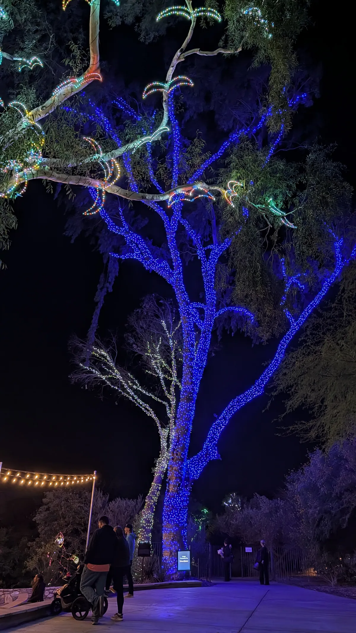 PXL_20260109_032923928