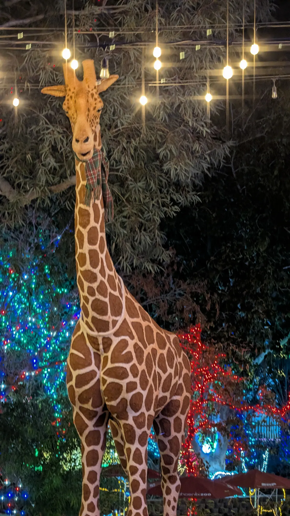 PXL_20260109_033016877