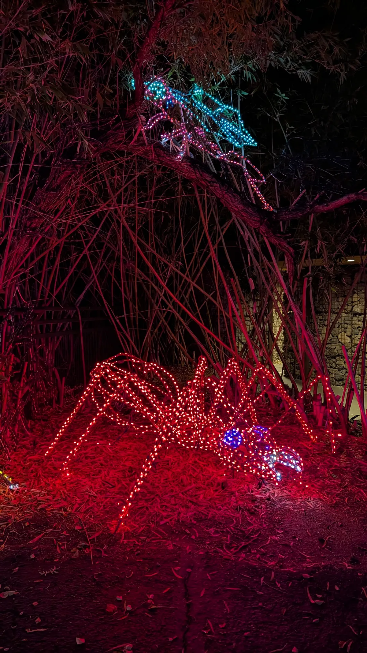 PXL_20260109_034448984