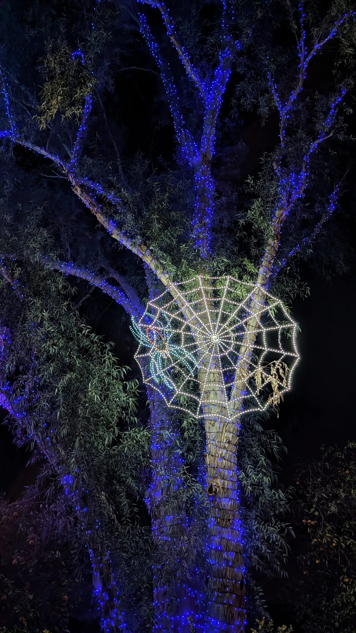 PXL_20260109_034718166