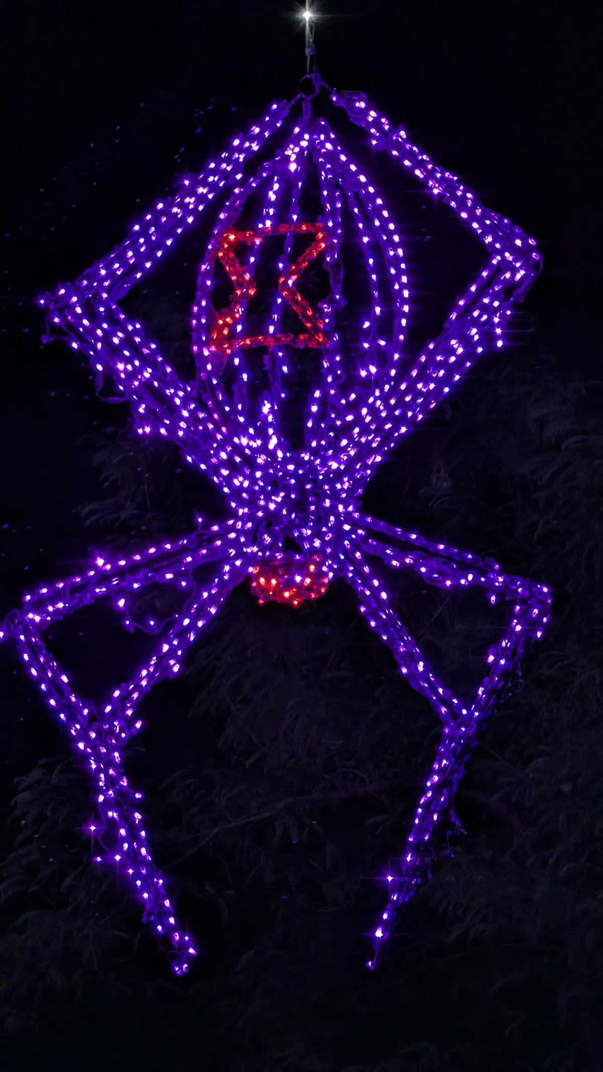 PXL_20260109_034725015