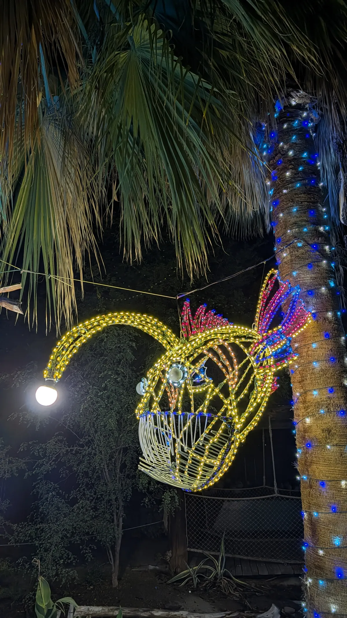 PXL_20260109_035606032