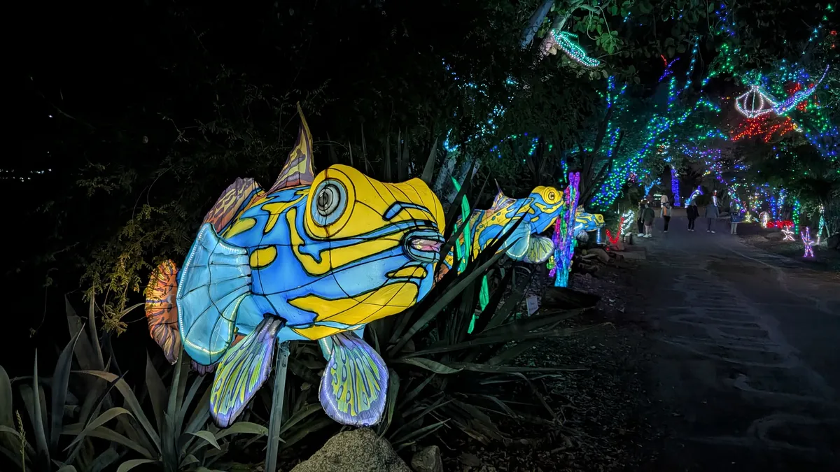 PXL_20260109_035814026