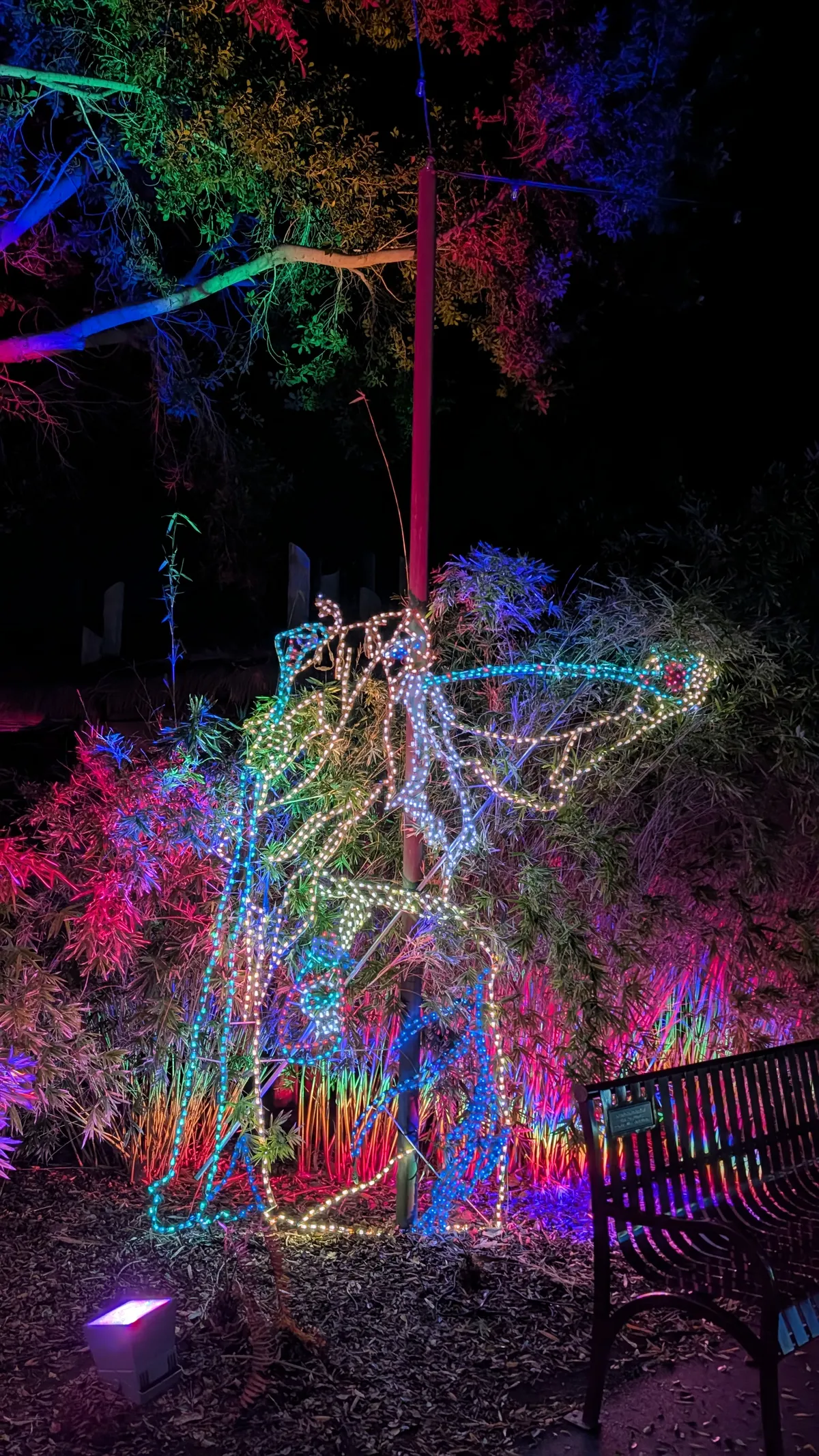 PXL_20260109_040623122