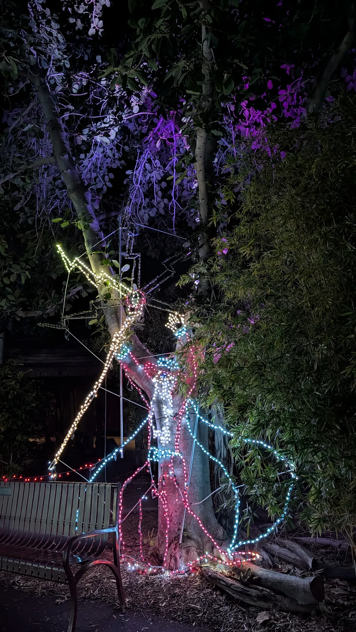 PXL_20260109_040741484