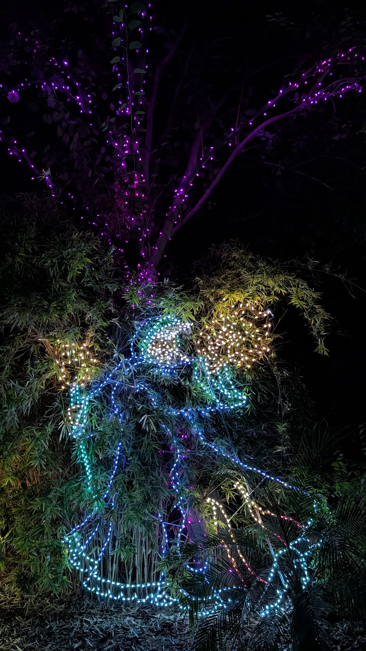 PXL_20260109_040820296