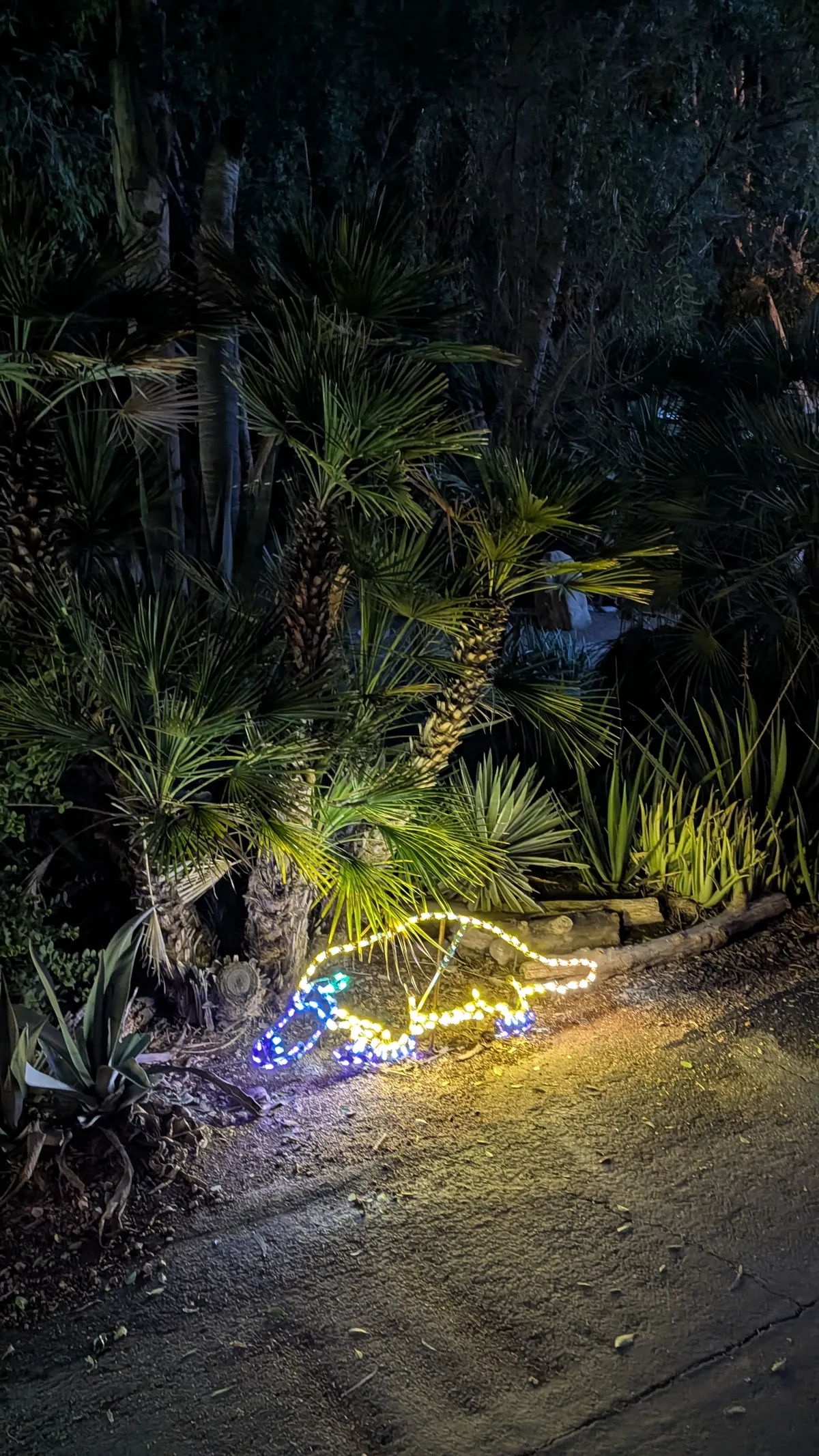 PXL_20260109_044904966