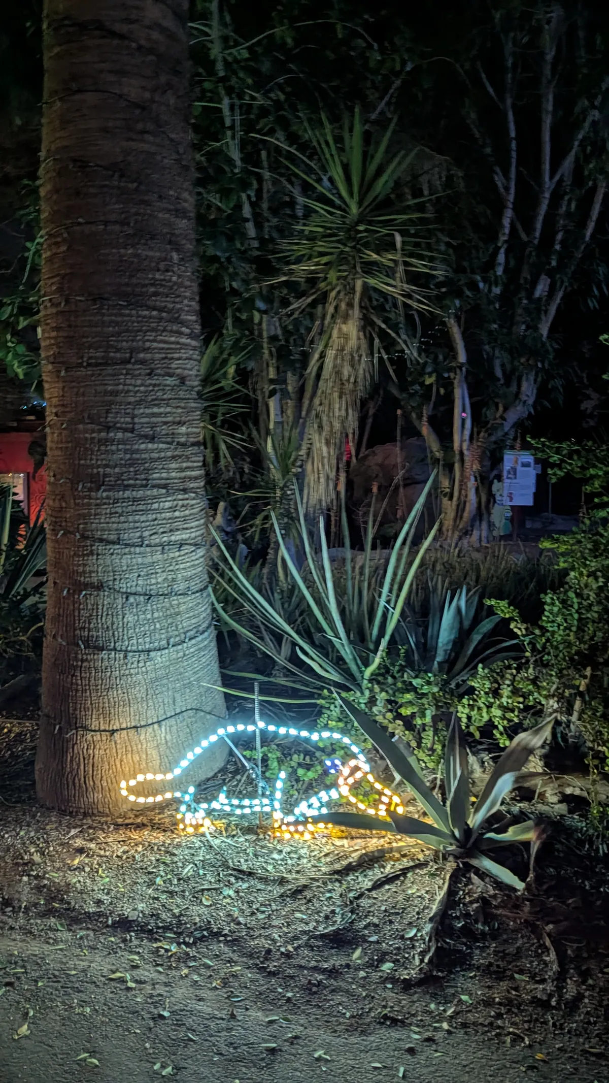 PXL_20260109_044909168