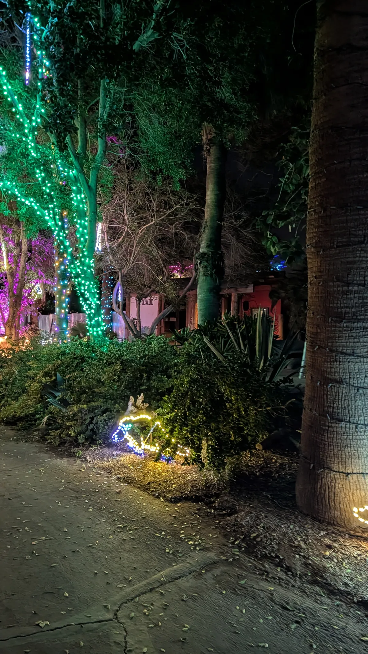 PXL_20260109_044910772