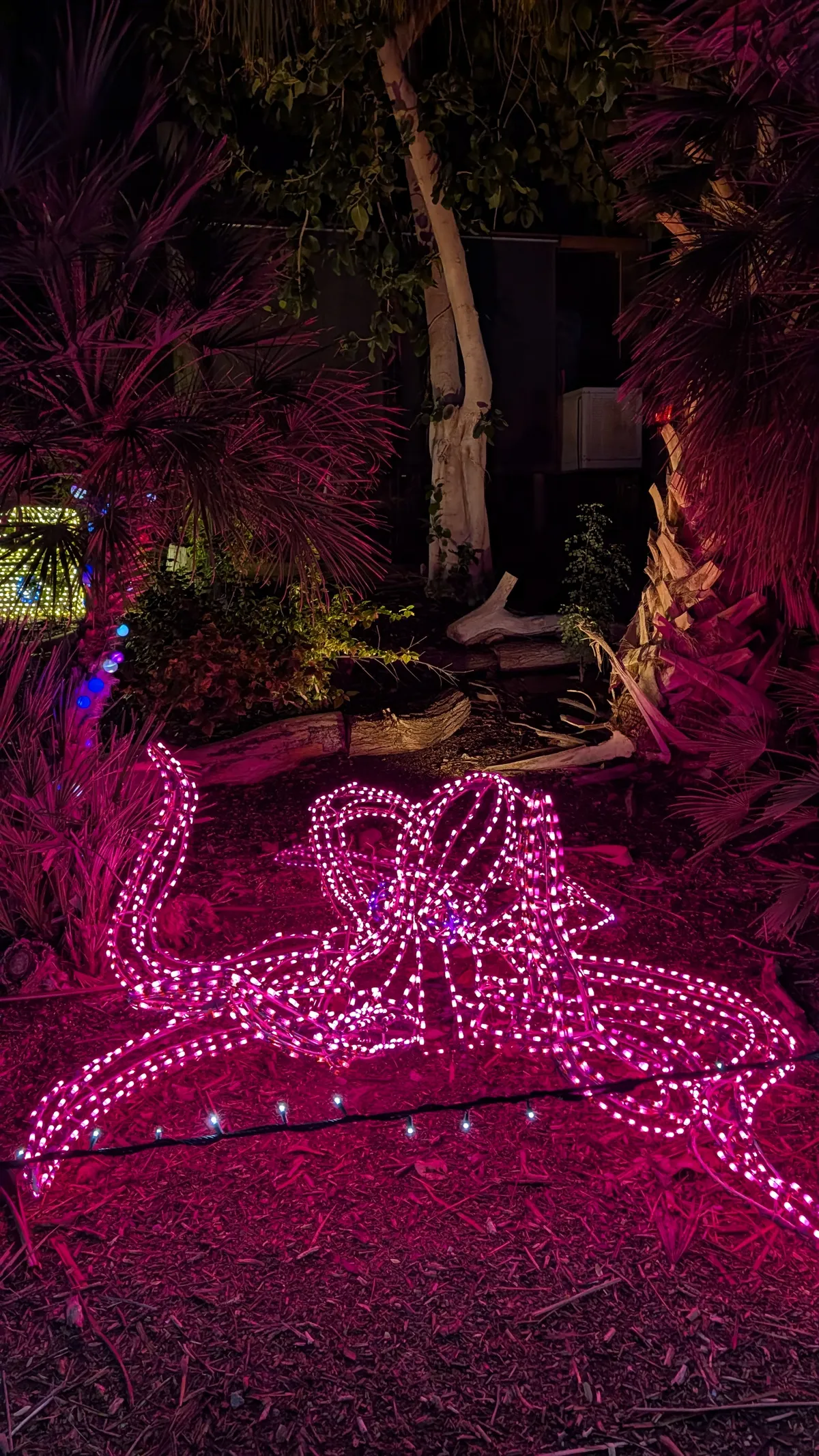 PXL_20260109_045008881