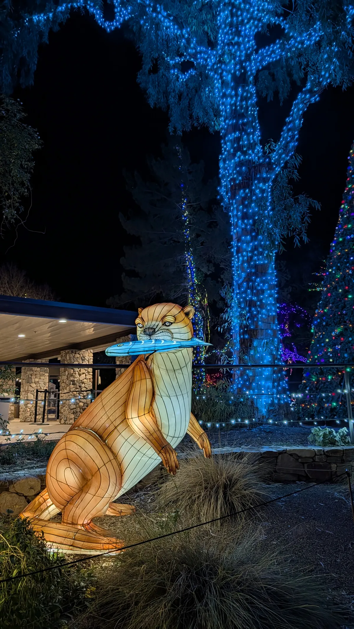 PXL_20260109_045434174