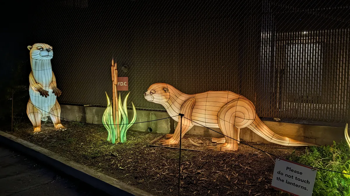 PXL_20260109_045438037