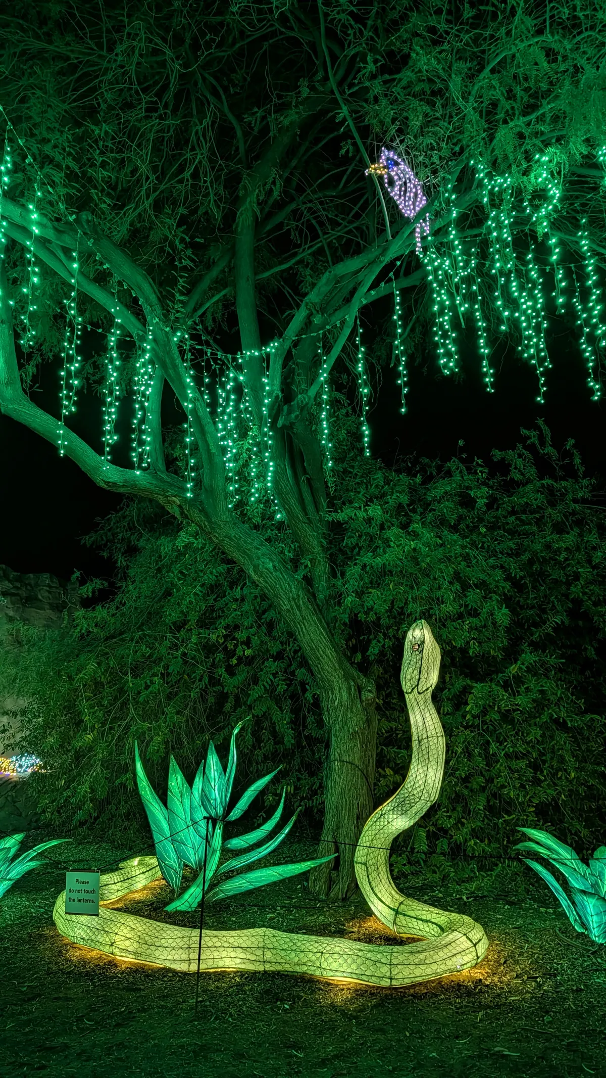 PXL_20260109_045952062