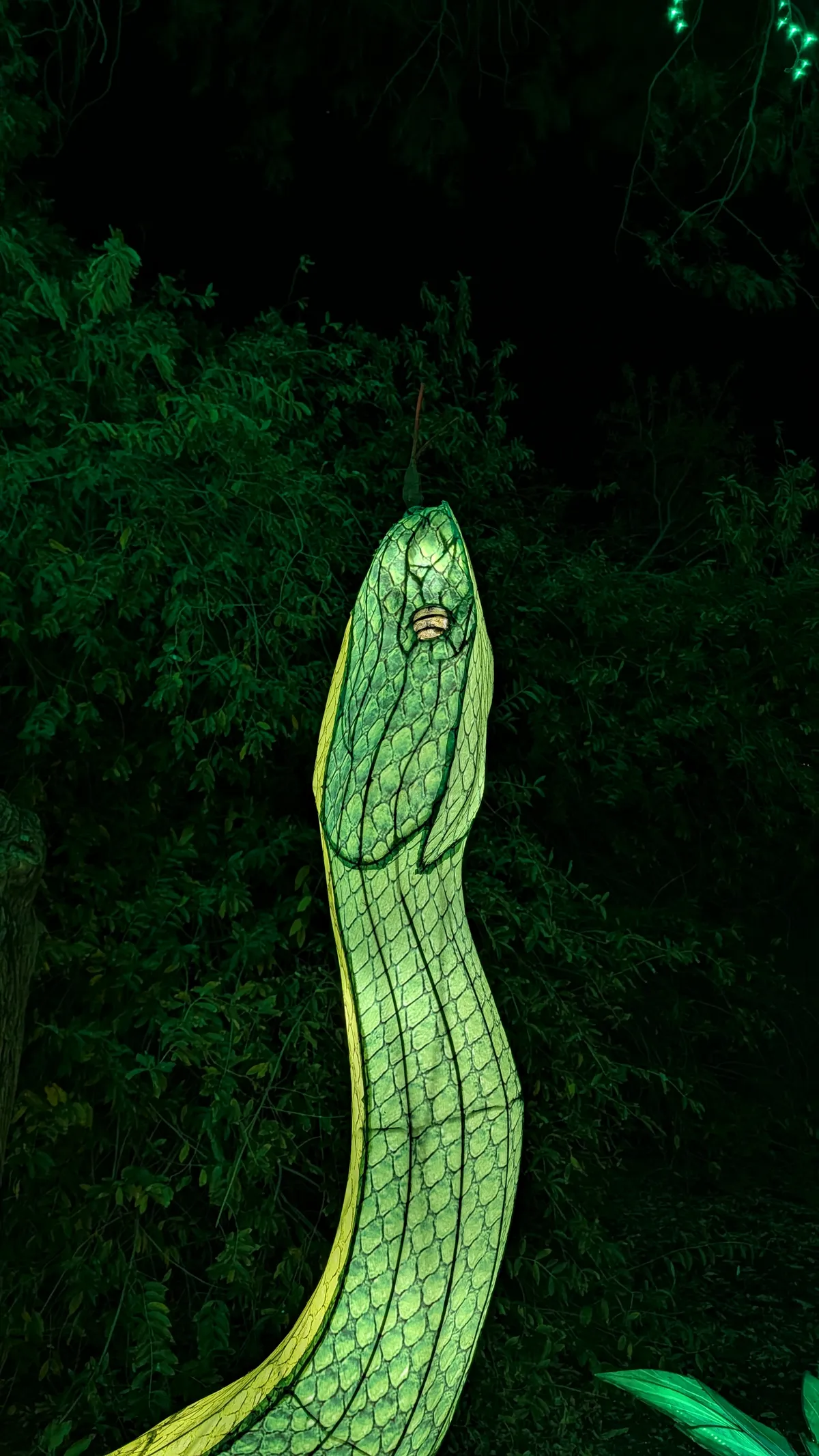 PXL_20260109_050009244