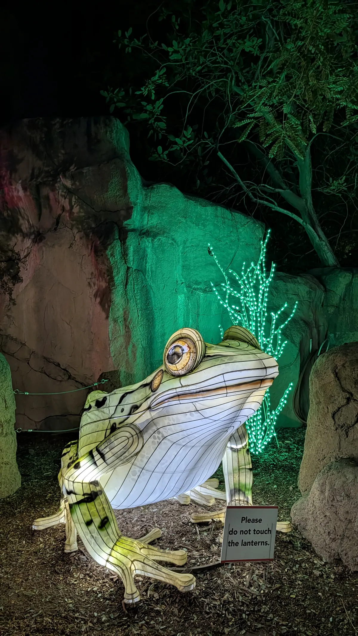 PXL_20260109_050157777